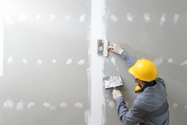 Best Mold Remediation for Rental Properties  in Haiku Pauwela, HI