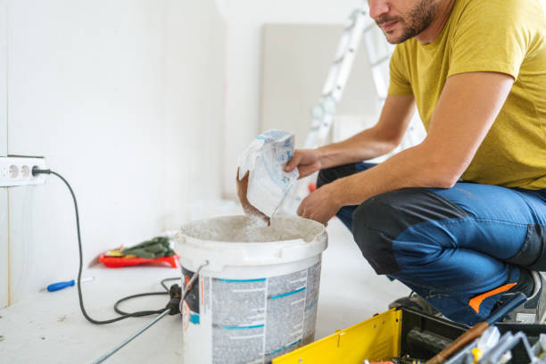 Best Mold Removal for HVAC Installations  in Haiku Pauwela, HI