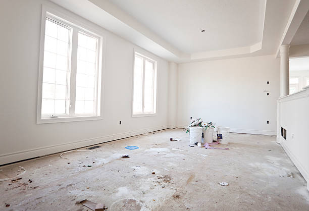 Best Mold Damage Restoration  in Haiku Pauwela, HI