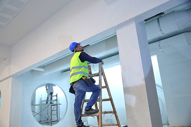 Best Commercial Mold Inspection  in Haiku Pauwela, HI